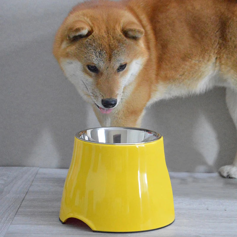 Great Pet Accessory Ergonomic Food Bowl Cat Plates Dogs Elevated Large Feeder High Container Water Dog Bowl Raised for Dogs High