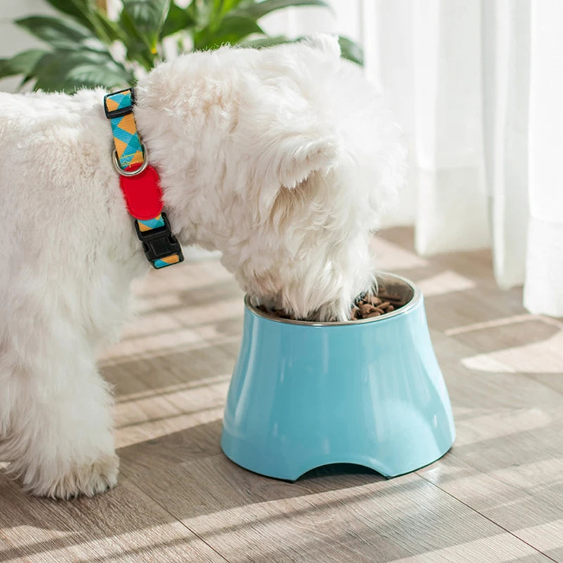 Great Pet Accessory Ergonomic Food Bowl Cat Plates Dogs Elevated Large Feeder High Container Water Dog Bowl Raised for Dogs High