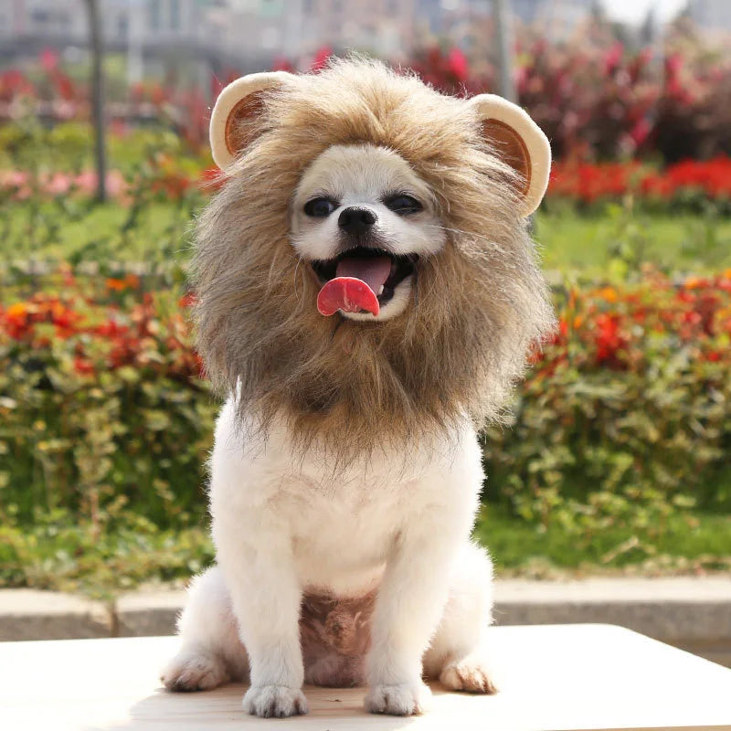 Lion Cattle Pattern Dog Costume Hat for Cat New Year Party Birthday Costume Pet Dogs Products Keep Warm Winter Puppy Accessories