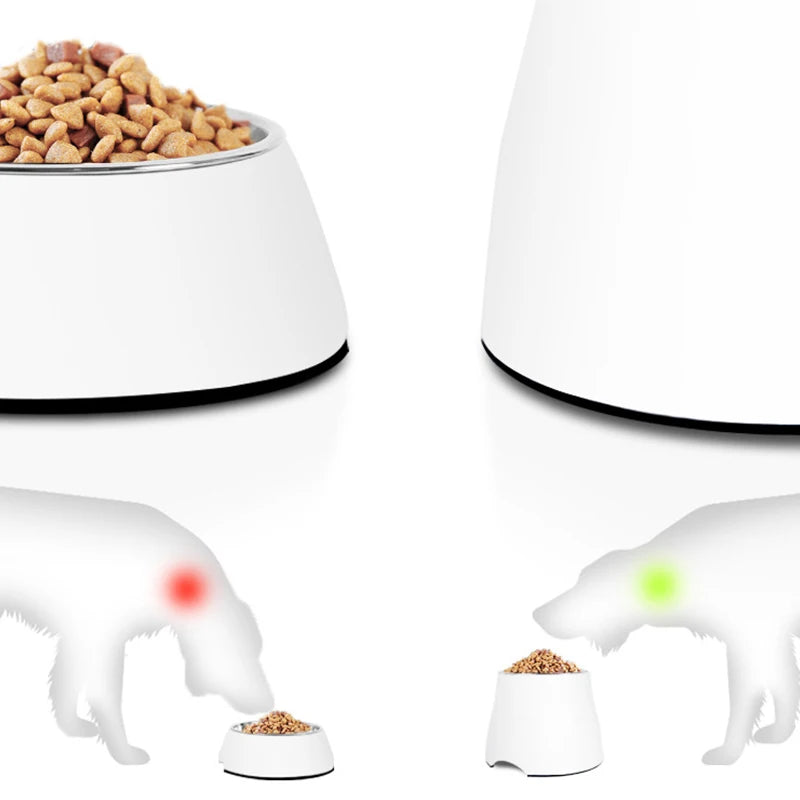 Great Pet Accessory Ergonomic Food Bowl Cat Plates Dogs Elevated Large Feeder High Container Water Dog Bowl Raised for Dogs High