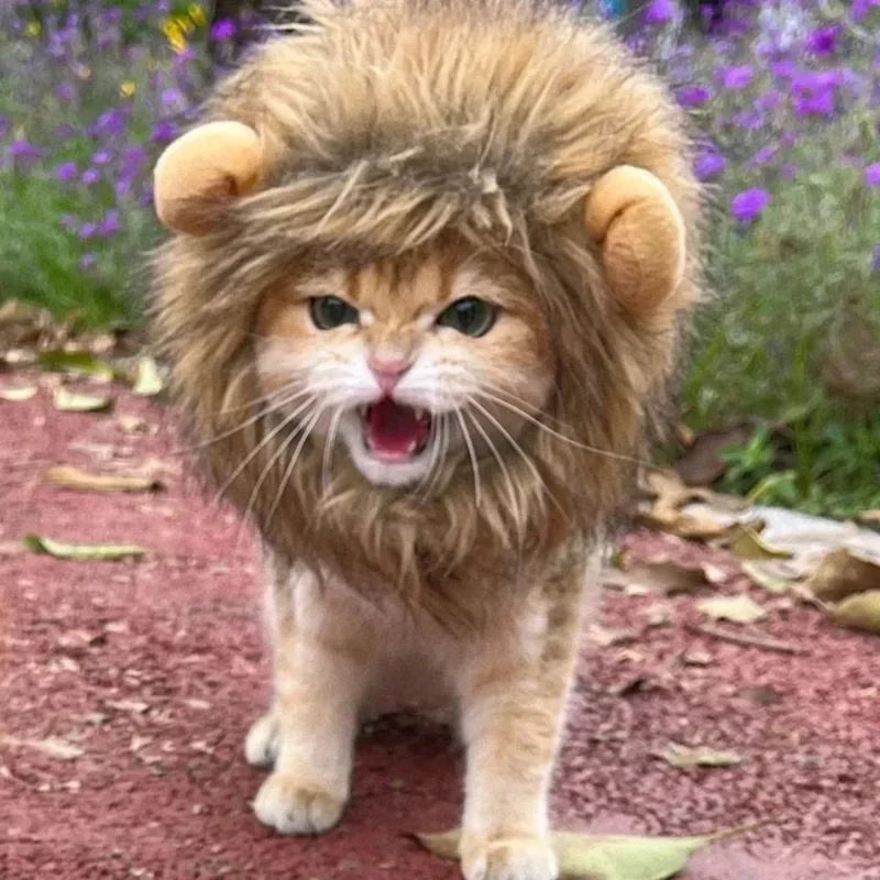 Cute Lion Mane Cat Wig Pet Small Dog Cats Costume Lion Mane Wig Cap Hat for Cat Dogs Fancy Costume Cosplay Toy Pet Accessory