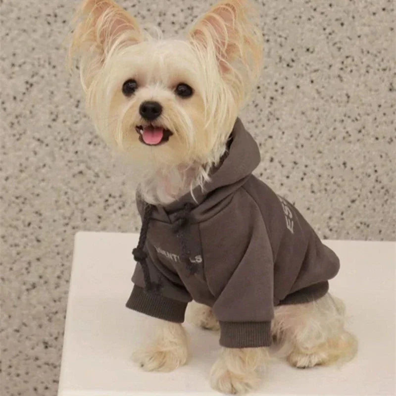 Dog Hoodies Letter Fleece Lined Designer Dog Clothes Puppy Sweatshirt Soft Warm Sweater Clothes for Small Dogs Poodle Maltese