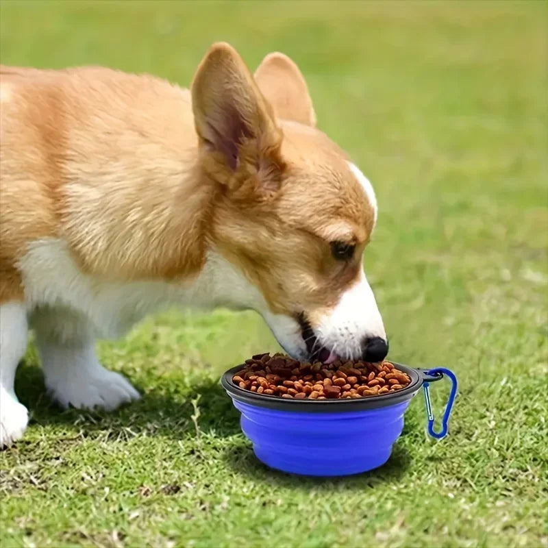 1pcs Pet Folding Bowl Outdoor Drinking Bowl Portable Cat and Dog Food Utensils Outdoor Travel Supplies Good Items