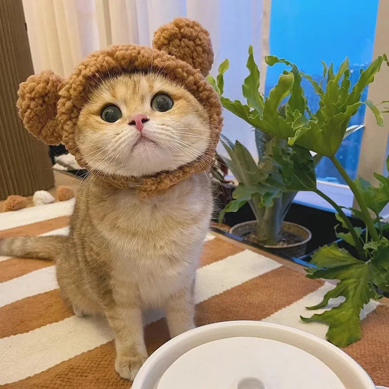 Funny Cat Cap Bear Plush Head Cover Cute Cat Dog Woven Warm Headdress Pet Hat Kitten Puppy Cosplay Costume Accessories