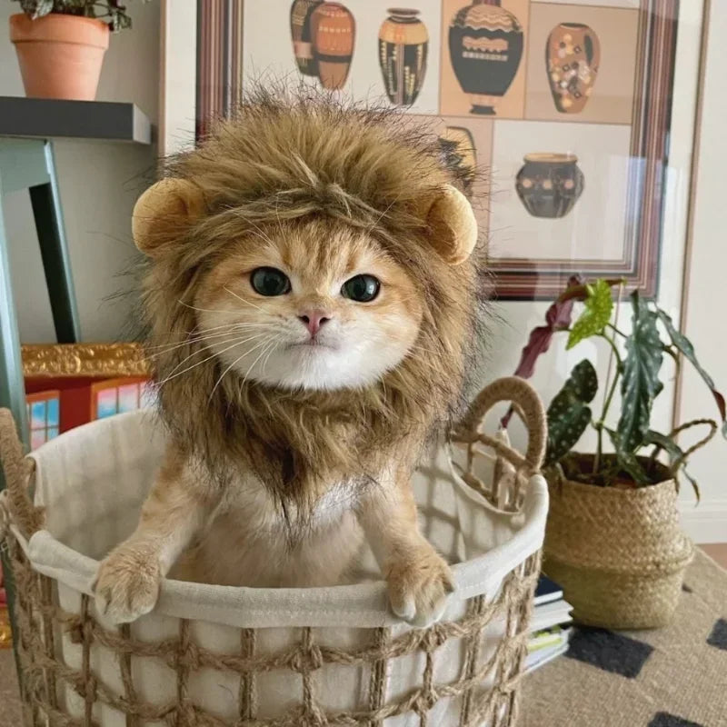 Cute Lion Mane Cat Wig Pet Small Dog Cats Costume Lion Mane Wig Cap Hat for Cat Dogs Fancy Costume Cosplay Toy Pet Accessory