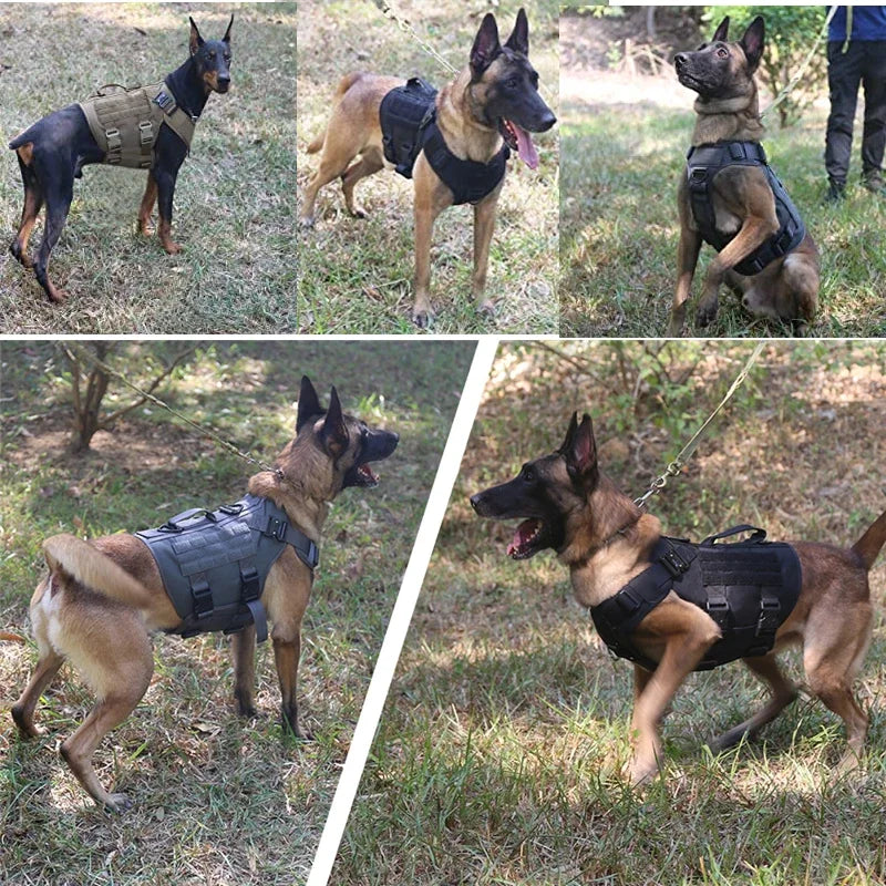 K9 Tactical Military Vest Pet German Shepherd Golden Retriever Tactical Training Dog Harness and Leash Set For All Breeds Dogs