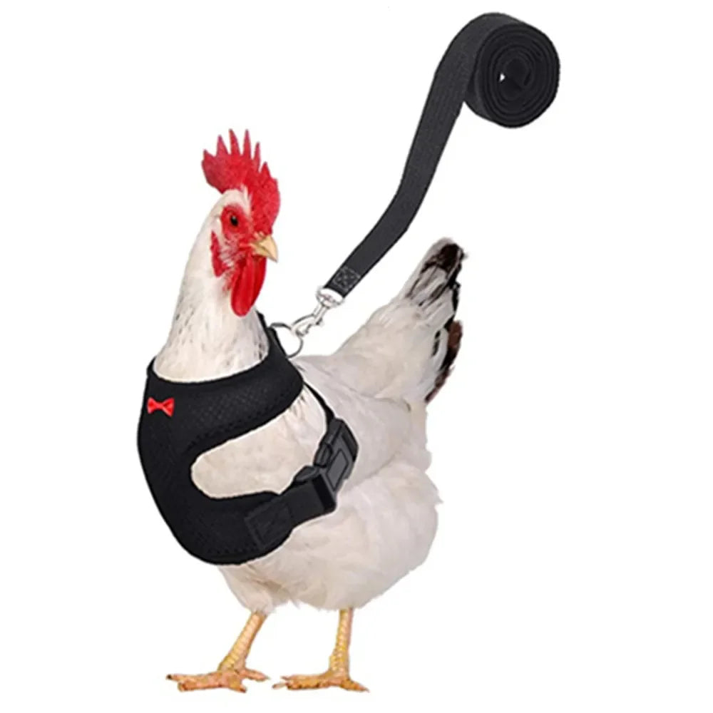 Adjustable Chicken Harness Vest With Bow Leash Set Breathable Poultry Walking Collar Duck Hen Pet Outdoor Training Accessories