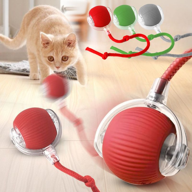 Cat Rolling Ball