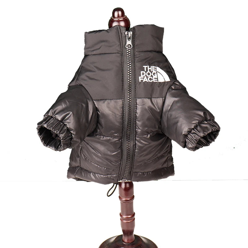 42220062146648|42220062179416|42220062212184|42220062244952|42220062441560|42220062474328|42220062507096