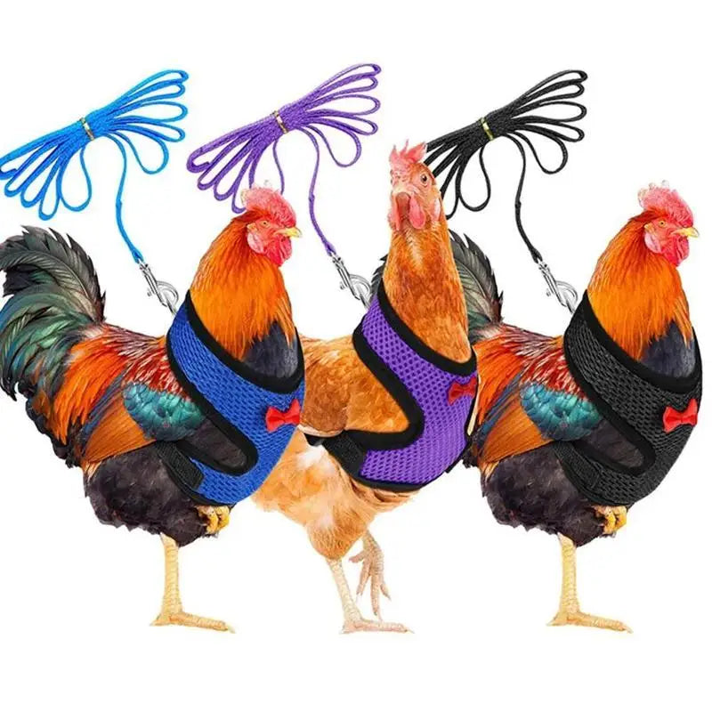 Adjustable Chicken Harness Vest With Bow Leash Set Breathable Poultry Walking Collar Duck Hen Pet Outdoor Training Accessories