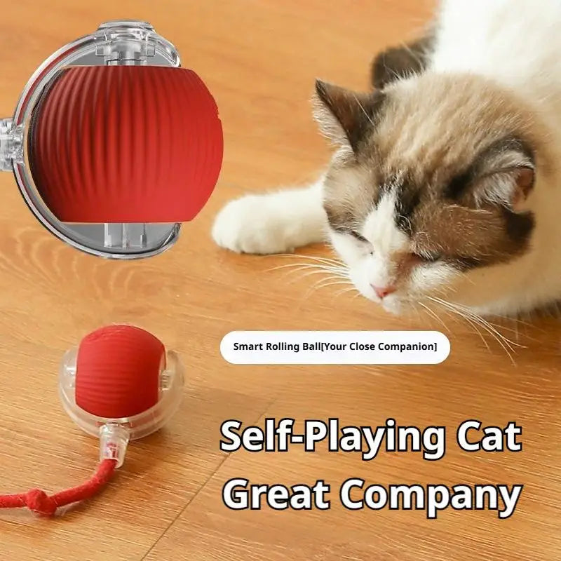 Smart Cat Toys Automatic Rolling Ball With Tail Rope Rechargeable Electric Pet Interactive Toy Cat Training