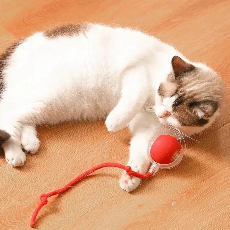 Cat Interactive Ball Toys Automatic Rolling Ball For Kitten Rechargeable Smart Pet Electric Toys With Teaser Sensor Cat Ball Toy
