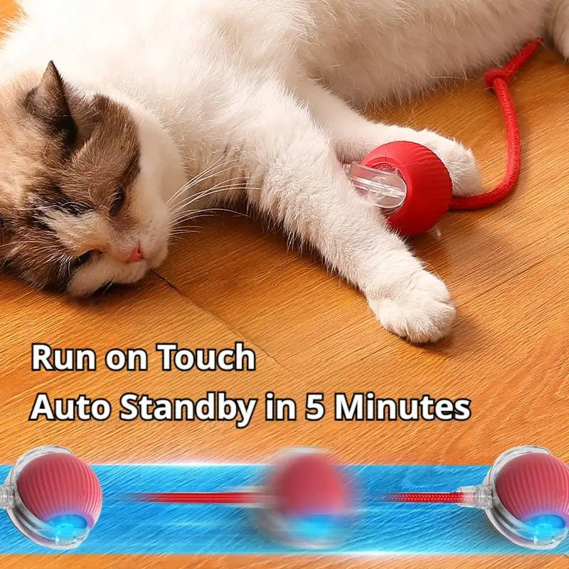 Smart Cat Toys Automatic Rolling Ball With Tail Rope Rechargeable Electric Pet Interactive Toy Cat Training