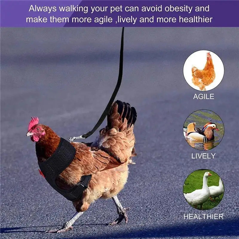 Adjustable Chicken Harness Vest With Bow Leash Set Breathable Poultry Walking Collar Duck Hen Pet Outdoor Training Accessories