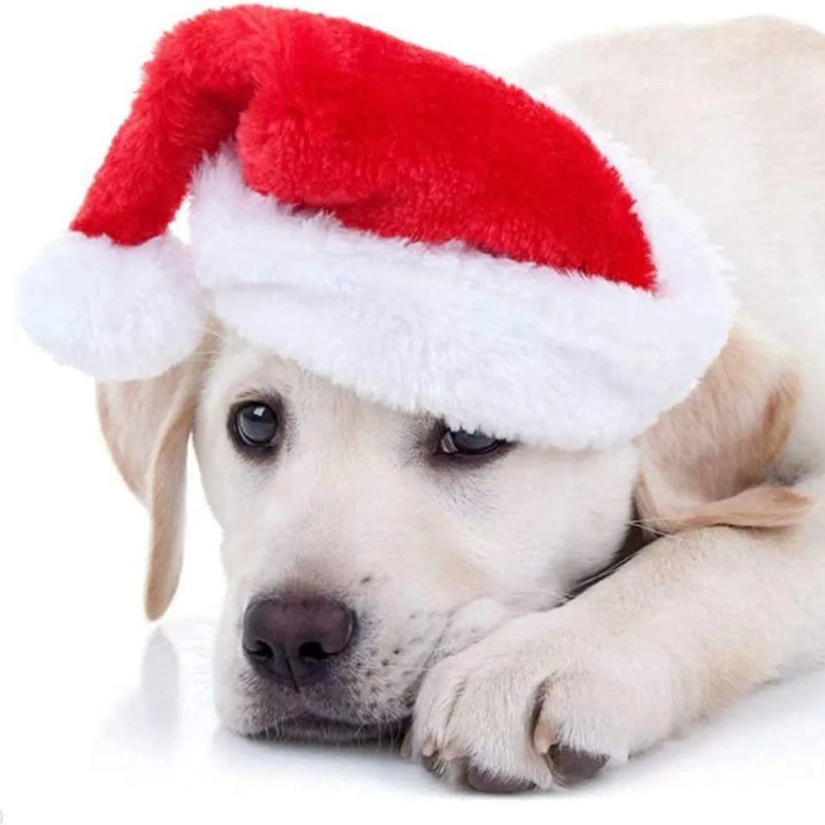 Christmas Pet Hat Santa Claus Hat for Cats Dogs Puppy Xmas Decoration New Year Party Supplies Pet Costume