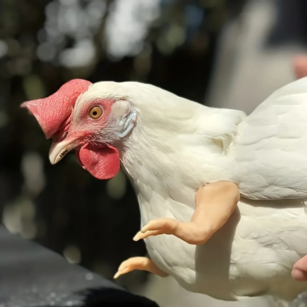 5-1PCS Chicken Giant Arm Decoration Pet Toy Dinosaur Forelimbs Fun Decoration Fighting Chicken Muscle Arm Chicken Accessories