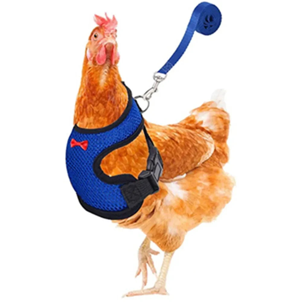 Adjustable Chicken Harness Vest With Bow Leash Set Breathable Poultry Walking Collar Duck Hen Pet Outdoor Training Accessories