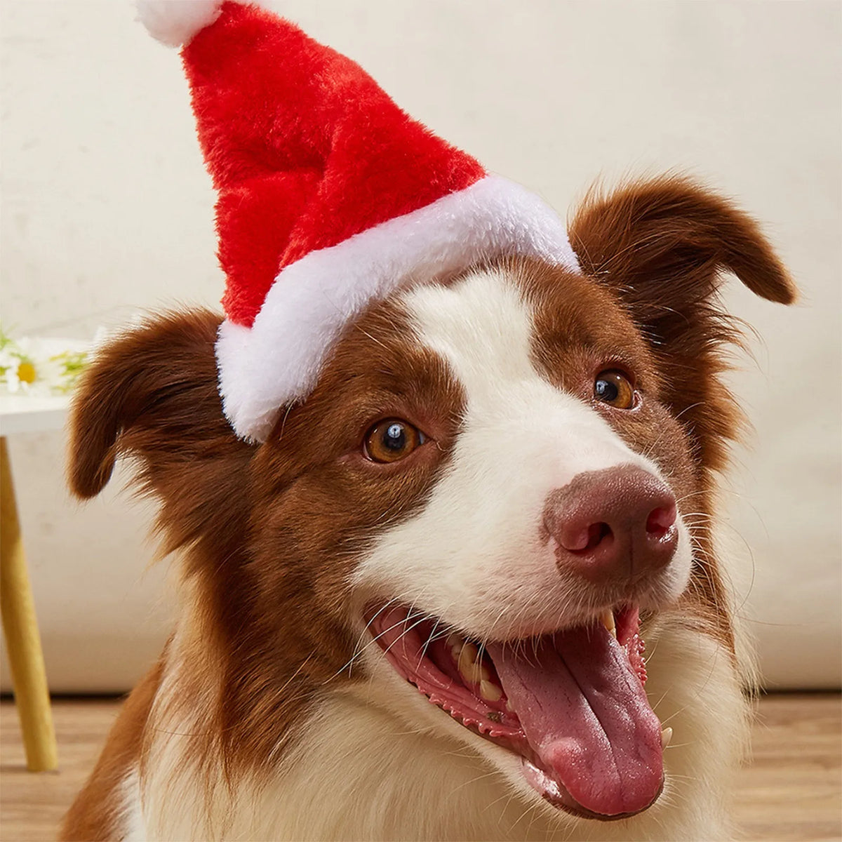 Christmas Pet Hat Santa Claus Hat for Cats Dogs Puppy Xmas Decoration New Year Party Supplies Pet Costume