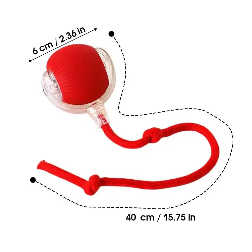 Smart Cat Toys Automatic Rolling Ball With Tail Rope Rechargeable Electric Pet Interactive Toy Cat Training