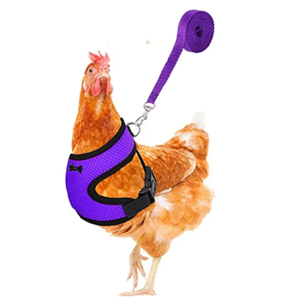 Adjustable Chicken Harness Vest With Bow Leash Set Breathable Poultry Walking Collar Duck Hen Pet Outdoor Training Accessories