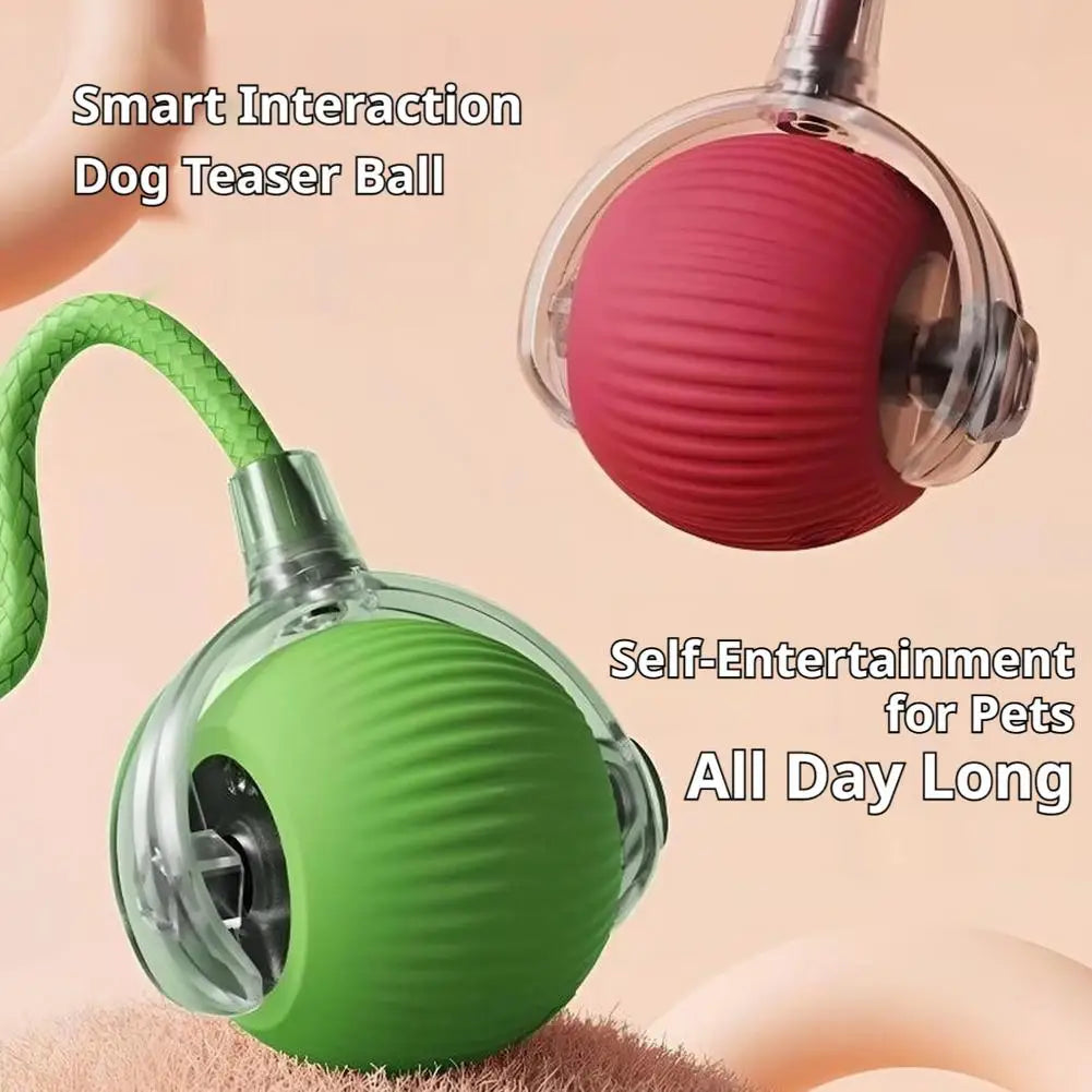 Smart Cat Toys Automatic Rolling Ball With Tail Rope Rechargeable Electric Pet Interactive Toy Cat Training