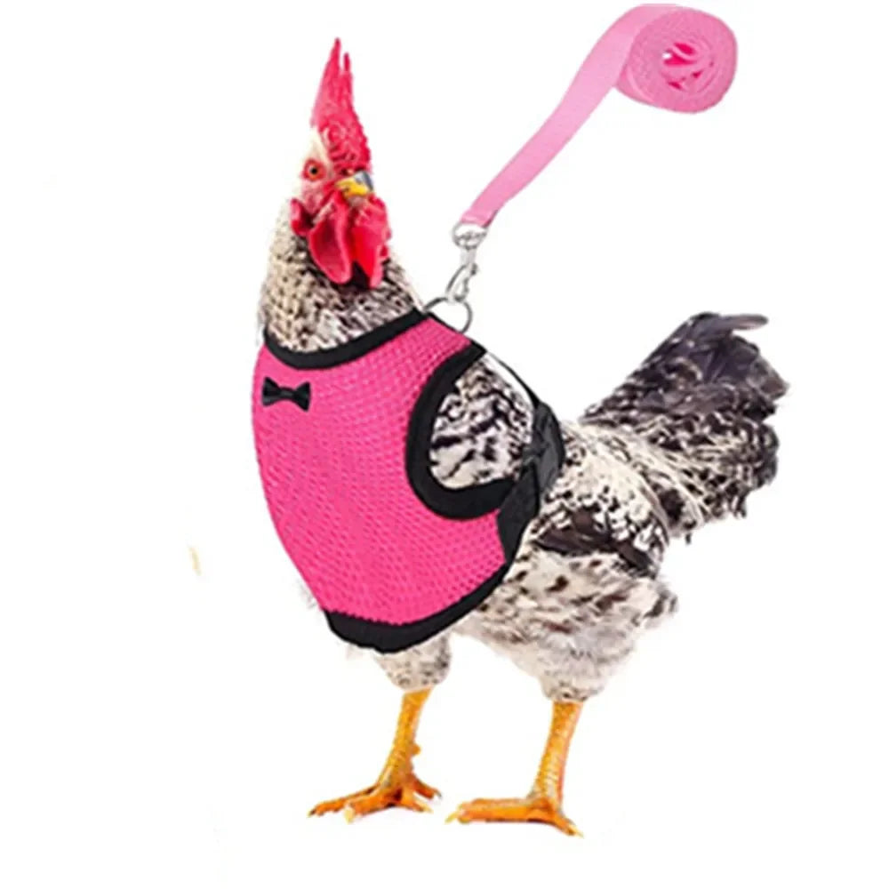 Adjustable Chicken Harness Vest With Bow Leash Set Breathable Poultry Walking Collar Duck Hen Pet Outdoor Training Accessories