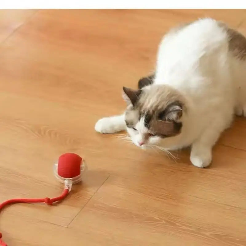 Smart Cat Toys Automatic Rolling Ball With Tail Rope Rechargeable Electric Pet Interactive Toy Cat Training