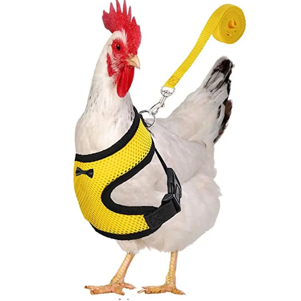 Adjustable Chicken Harness Vest With Bow Leash Set Breathable Poultry Walking Collar Duck Hen Pet Outdoor Training Accessories