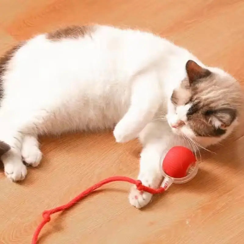 Smart Cat Toys Automatic Rolling Ball With Tail Rope Rechargeable Electric Pet Interactive Toy Cat Training