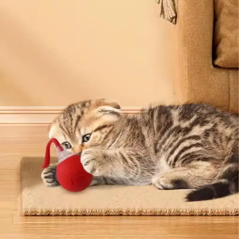 Smart Cat Toys Automatic Rolling Ball With Tail Rope Rechargeable Electric Pet Interactive Toy Cat Training
