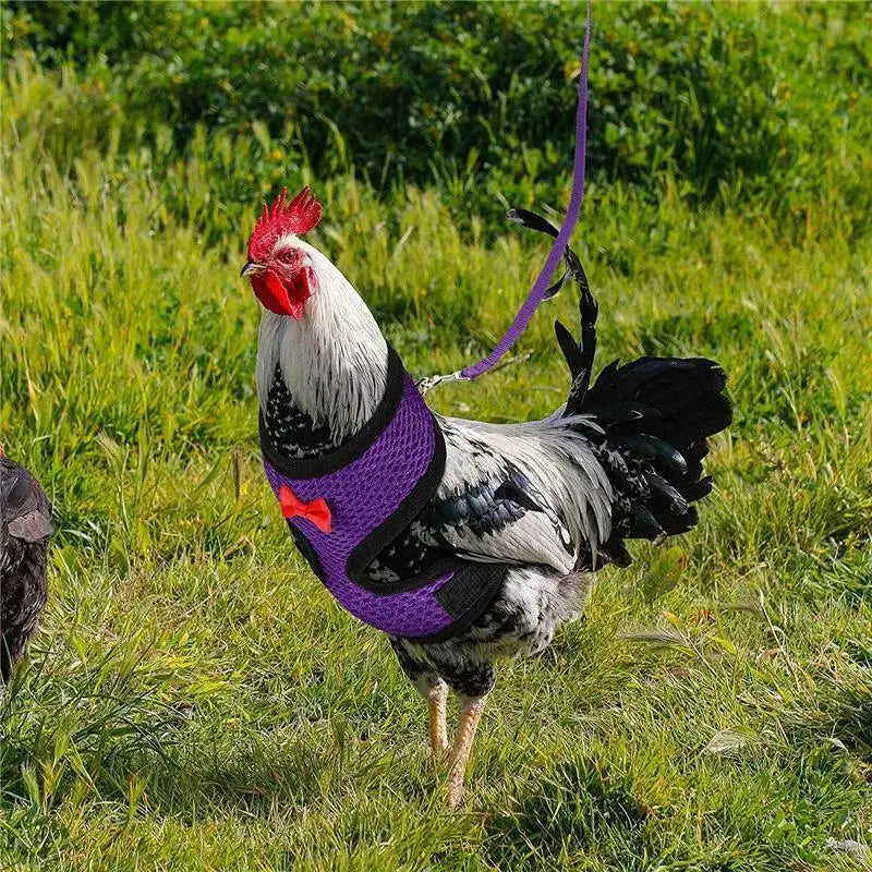 Adjustable Chicken Harness Vest With Bow Leash Set Breathable Poultry Walking Collar Duck Hen Pet Outdoor Training Accessories