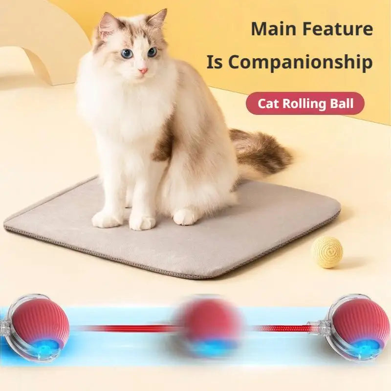 Smart Cat Toys Automatic Rolling Ball With Tail Rope Rechargeable Electric Pet Interactive Toy Cat Training