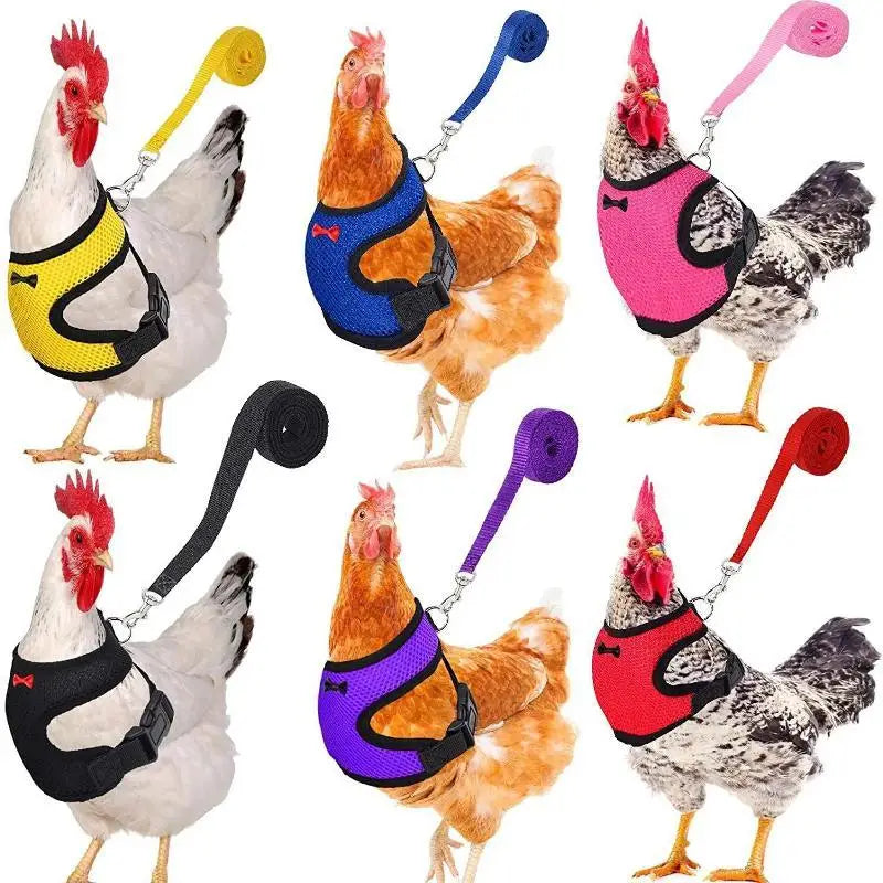 Adjustable Chicken Harness Vest With Bow Leash Set Breathable Poultry Walking Collar Duck Hen Pet Outdoor Training Accessories